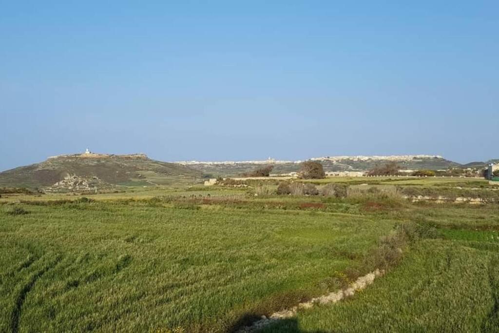 Farmhouse Villa With Large Pool And Garden In Gozo Għarb Dış mekan fotoğraf